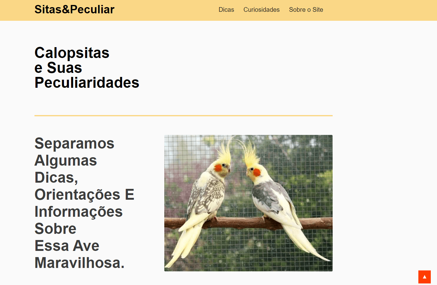 Foto de um site sobre calopsitas
